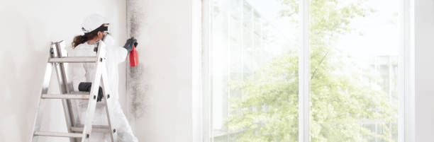 Trusted Conyngham, PA Mold Removal Experts