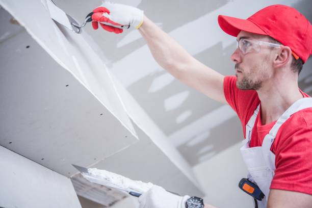 Best Asbestos and Lead Testing During Mold Inspection  in Conyngham, PA